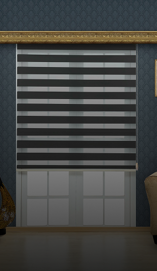 Zebra Shades
