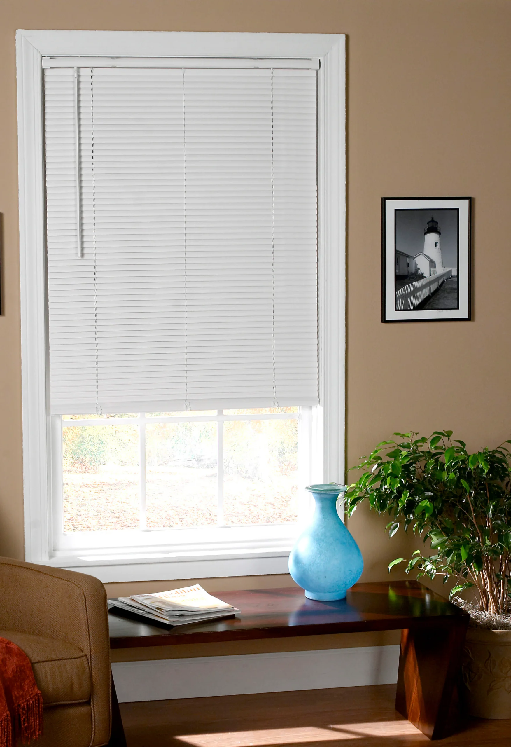 Vinyl Blinds​
