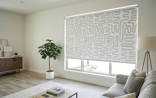 Graphic Shades